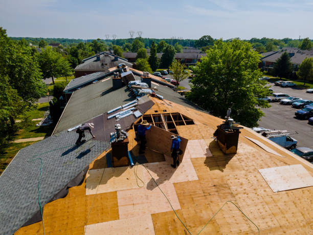 Best Flat Roof Repair Services  in Decherd, TN